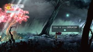 fruits de la passion